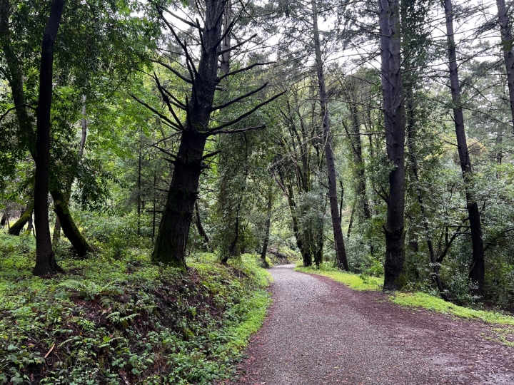 Herp Habitat